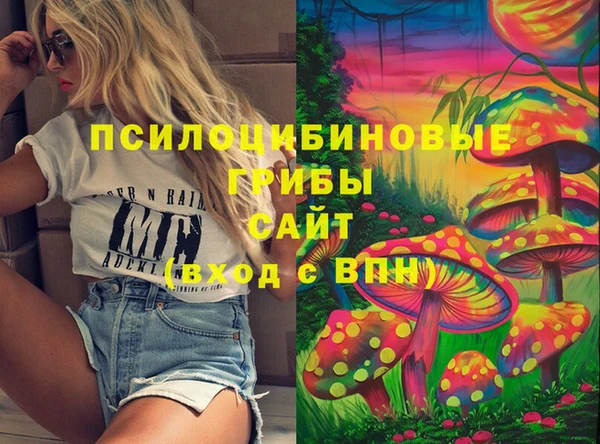 Альфа ПВП Армянск