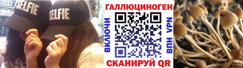 продажа наркотиков  Мензелинск  Галлюциногенные грибы прущие грибы 